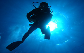 Expert Diving Tour