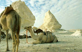 Extreme Advanture Tour